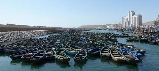 L'allège à Safi (Maroc)